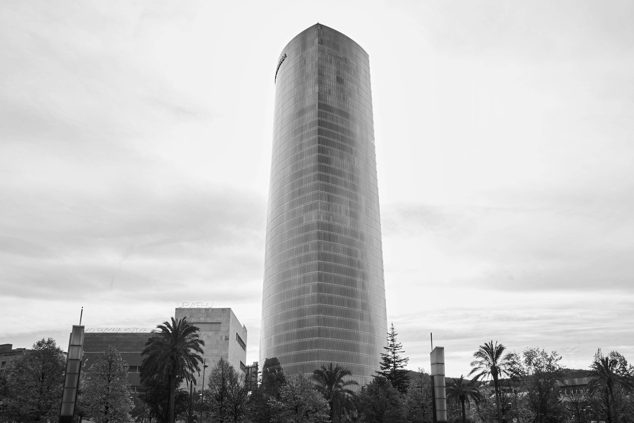 Contemporary skyscraper with palm trees in a cityscape, black and white.